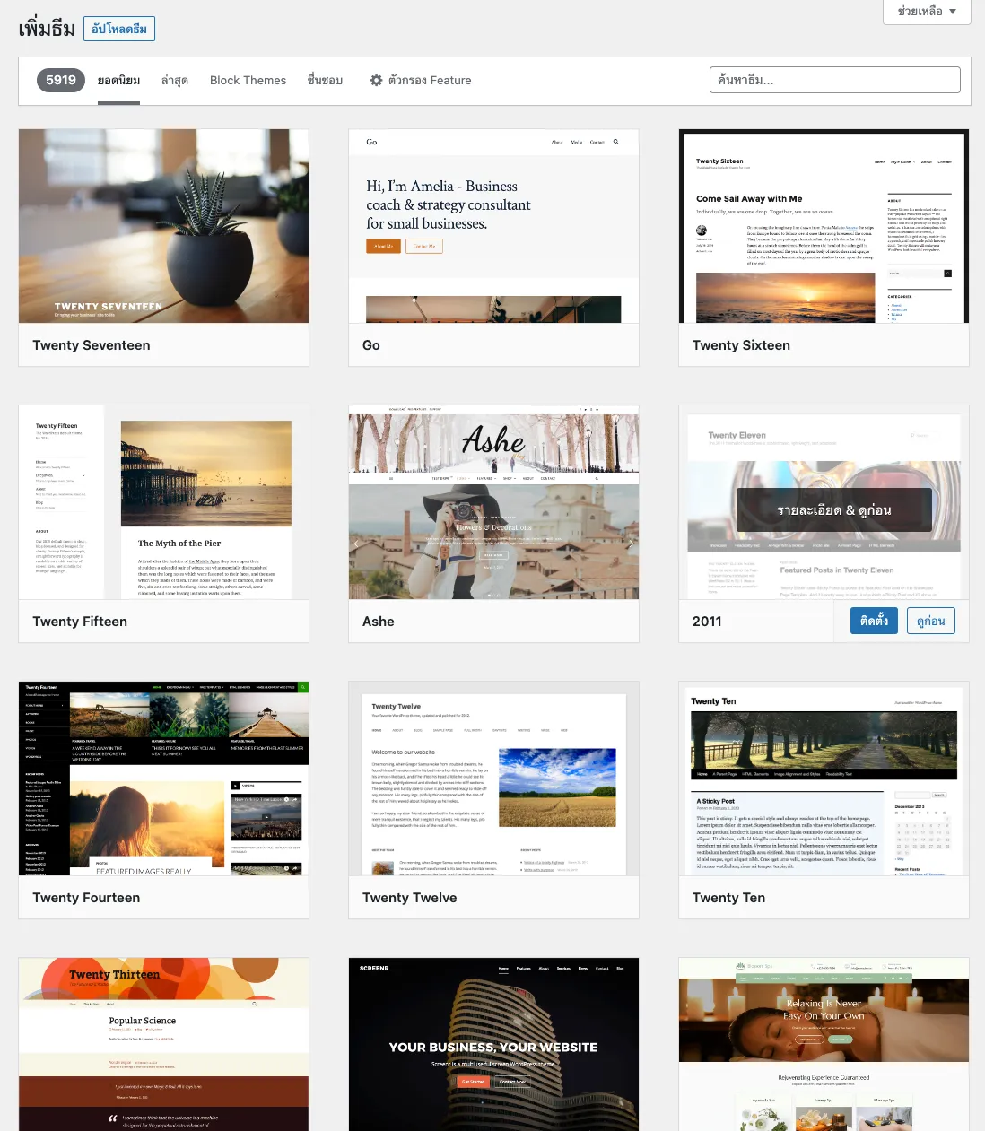 WordPress หน้า Themes